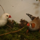 IMG_4140.JPG