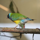 IMG_4143.JPG
