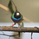IMG_4144.JPG