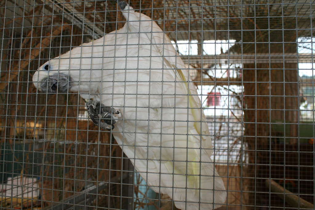 IMG_4146.JPG