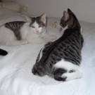 DSC02382.JPG