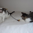 DSC02384.JPG