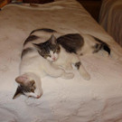 DSC02386.JPG