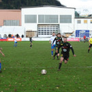IMG_4195.JPG