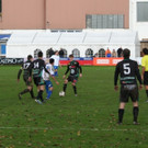 IMG_4194.JPG