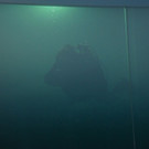 DSC03457.JPG