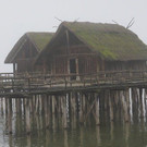 DSC03491.JPG