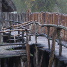 DSC03493.JPG