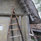 DSC03495.JPG