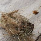 DSC03504.JPG