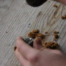 DSC03506.JPG