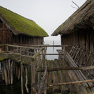DSC03516.JPG