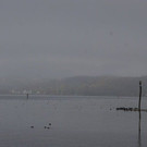DSC03517.JPG