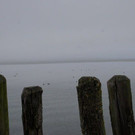 DSC03518.JPG