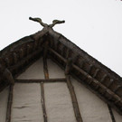 DSC03520.JPG