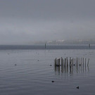 DSC03524.JPG