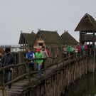 DSC03534.JPG