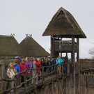 DSC03537.JPG