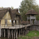 DSC03538.JPG
