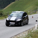 Scheibenstock Mario Erfolgreich bei ATMAS 2013