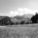 suelzroethis3.jpg