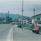 weiler1_003.jpg