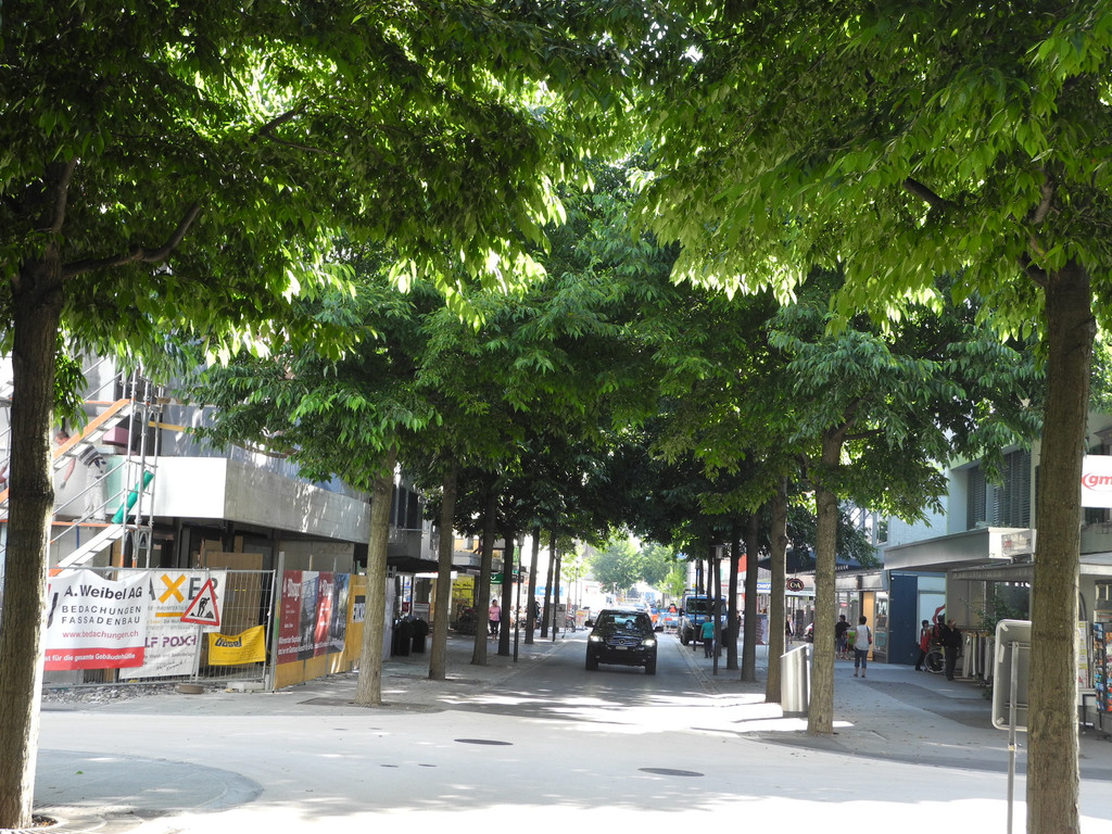 DSCN9808.JPG