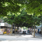 DSCN9808.JPG