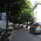 DSCN9809.JPG