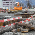 DSCN9168.JPG