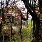 20131105_PD0557_HR.jpg