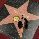 Janis Joplin posthum mit Hollywood-Stern geehrt