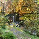 Seniorenring Göfis: Abschlusswanderung: Örflaschlucht - St. Arbogast