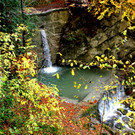 IMG_4029AA.JPG