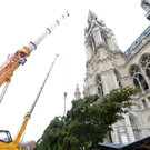 Weihnachtsbaum am Wiener Rathausplatz wurde aufgestellt