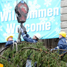 ABD0030-20131105.jpg