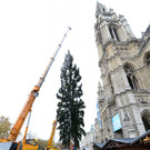 ABD0031-20131105.jpg