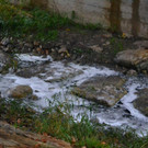 DSC_0061.jpg