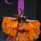 IBD0802-20131103.jpg