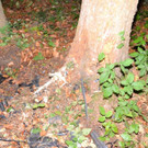 DSC_0037.jpg