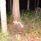 DSC_0044.jpg