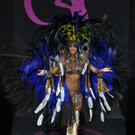 IBD0023-20131104.jpg