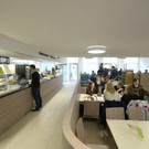 file6cl435rtan47c8q710m.jpg