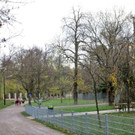 IMG_5937.jpg