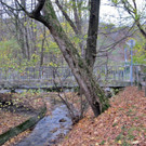 IMG_5947.jpg