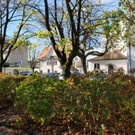 Lustenau 152-1.jpg
