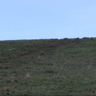 07112013_St_ Corona_Traktorabsturz _3_.jpg