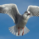 20131031_PD1490_LR.jpg