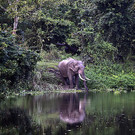 20131101_PD1053_LR.jpg