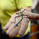 20131101_PD1591_LR.jpg